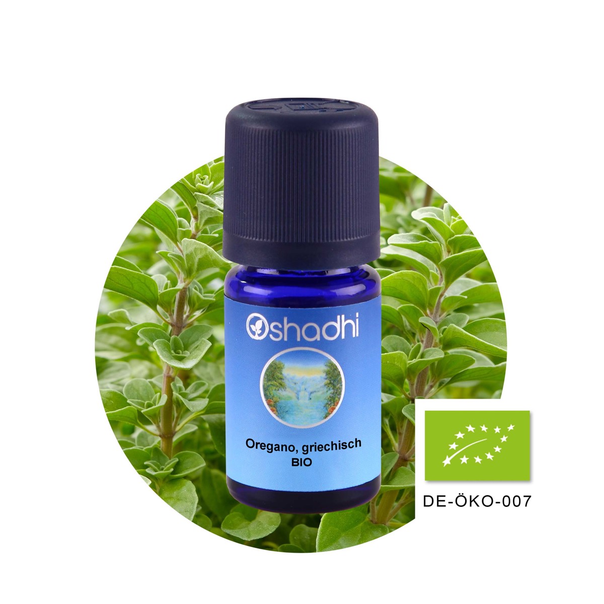 希臘牛至精油（EU-Bio）