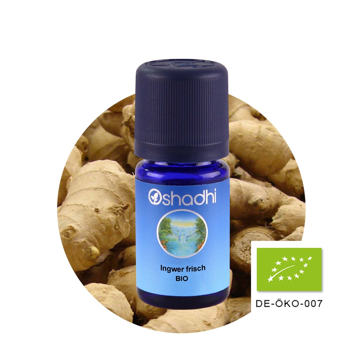 新鮮薑精油（EU-Bio）