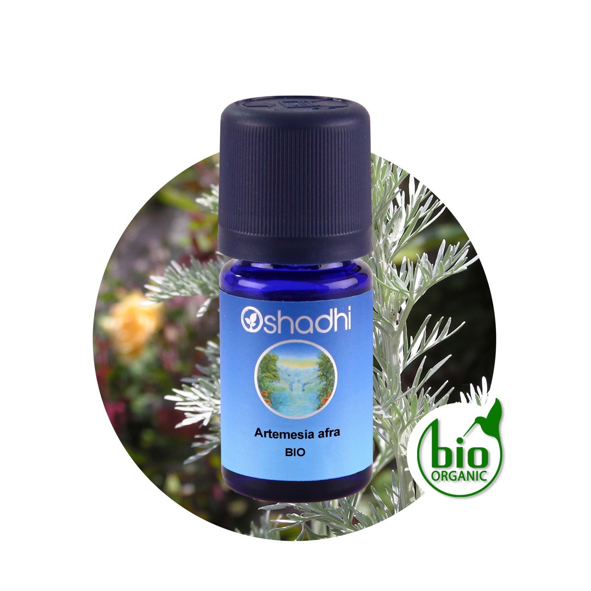 非洲蒿精油（Bio）