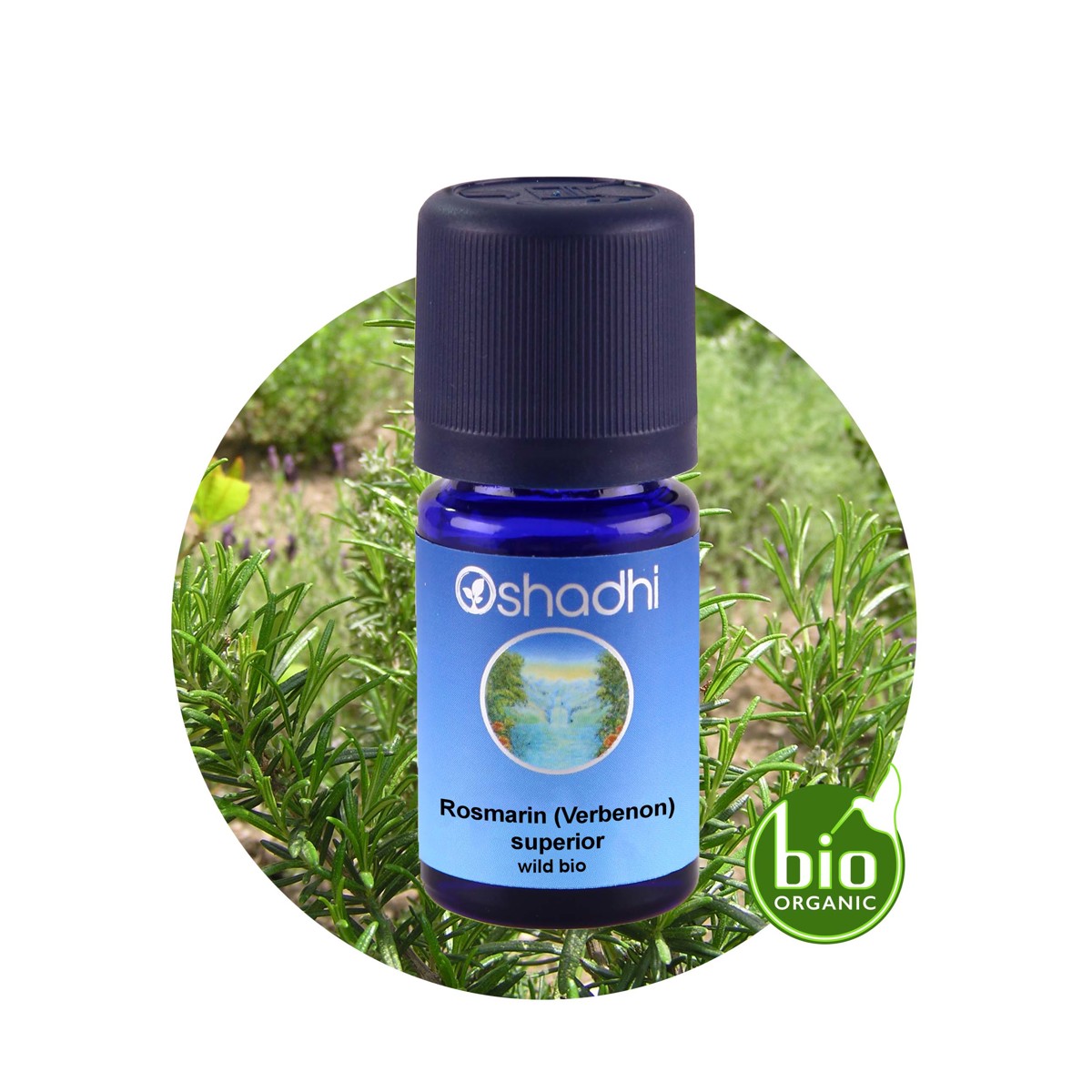 特級野生迷迭香精油（馬鞭草酮型・EU-Bio）