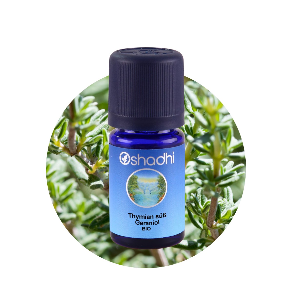 甜百里香精油（香葉醇型・EU-Bio）