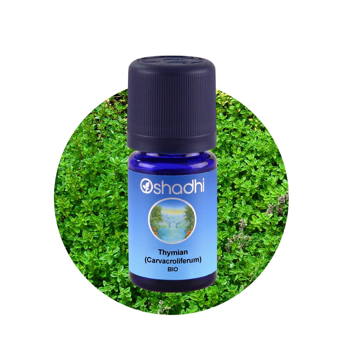 百里香精油（香芹酚型・EU-Bio）