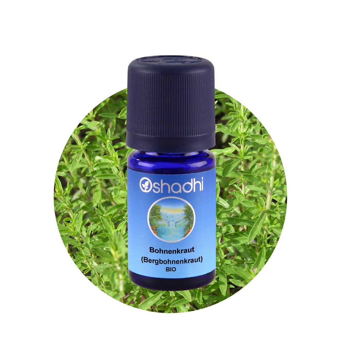 冬季香薄荷精油（EU-Bio）