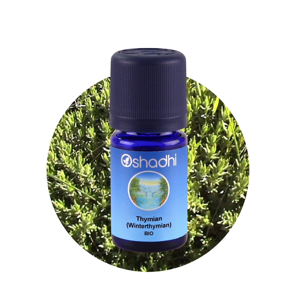 冬季百里香精油（EU-Bio）